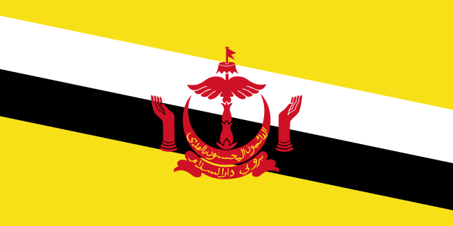 Courtesy Flag Brunei Darussalam 40 x 60 cm